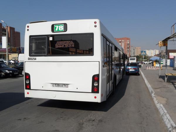 Кушнарев потребовал лучше контролировать ростовские автобусы